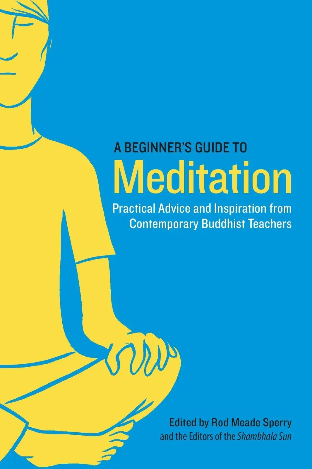 Beginner's Guide to Meditation Rebirth Threads